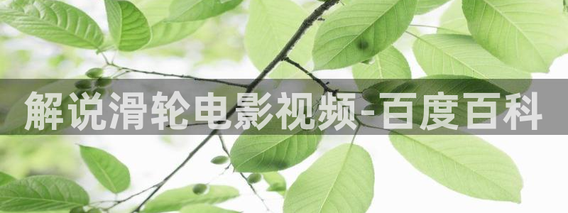 新闻图片